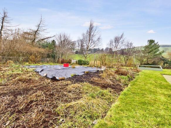 Vegetable patch 