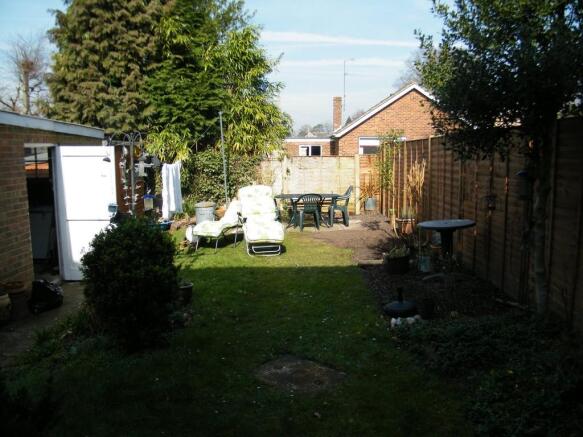 Photo 11