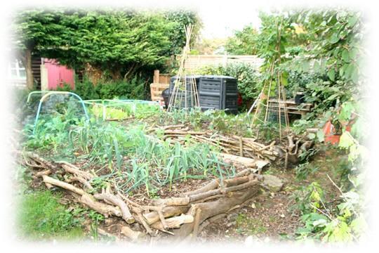 Vegetable Garden