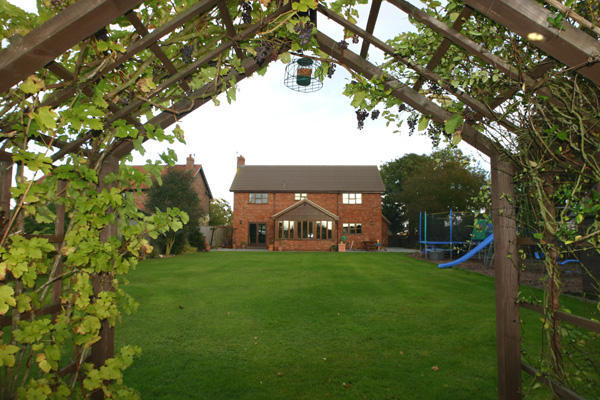 Rear View
