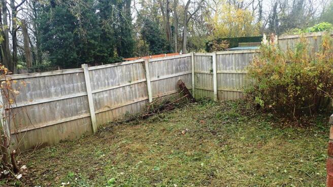 Garden 3.JPG