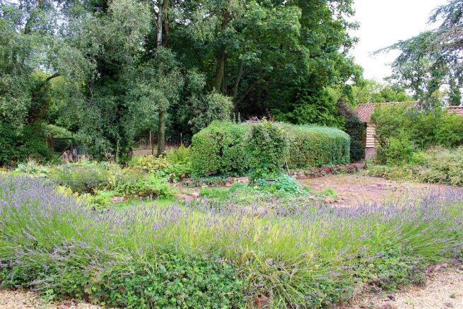 Cottage garden