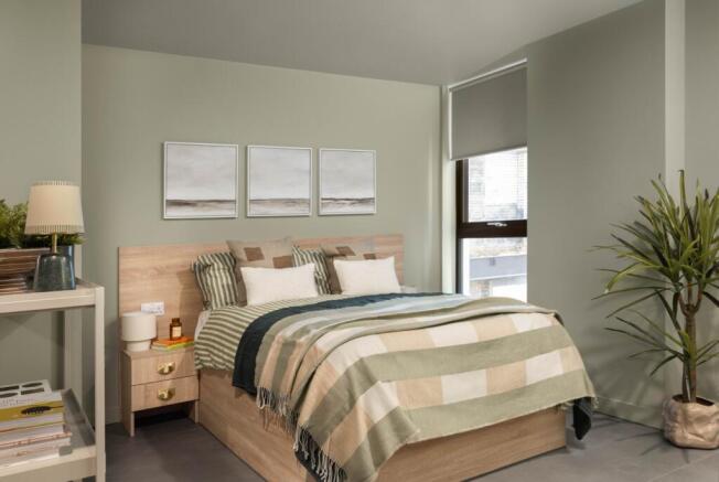 Roomy Studio Example