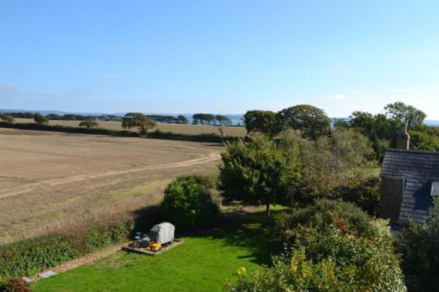 Garden & View