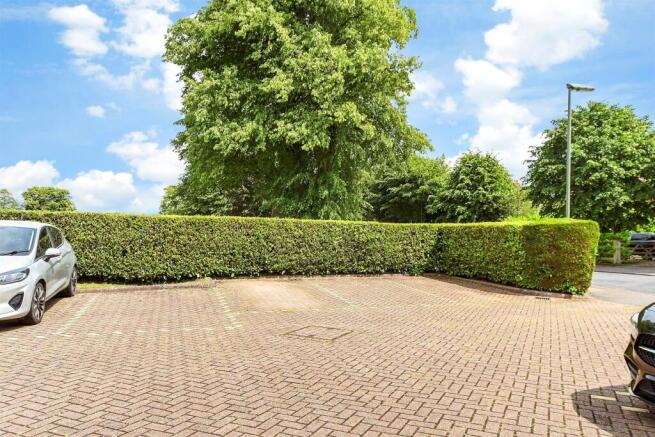 Driveway/Parking