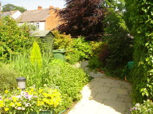 Decking Area