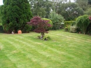 Gardens