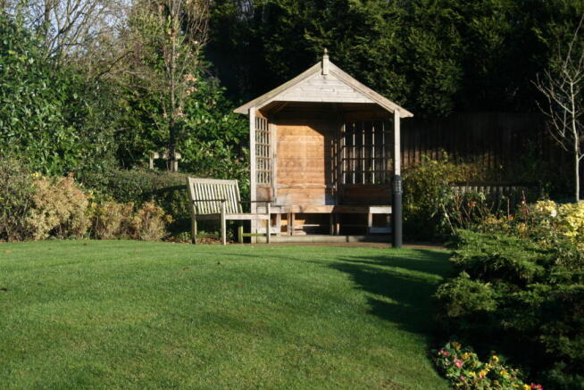 Back garden