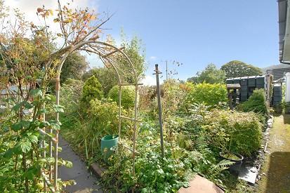 Established Rear Garden