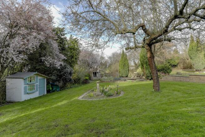 Garden.jpg