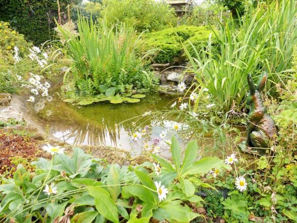 Pond