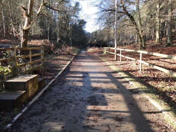 Track from Footbridge towards Forest House