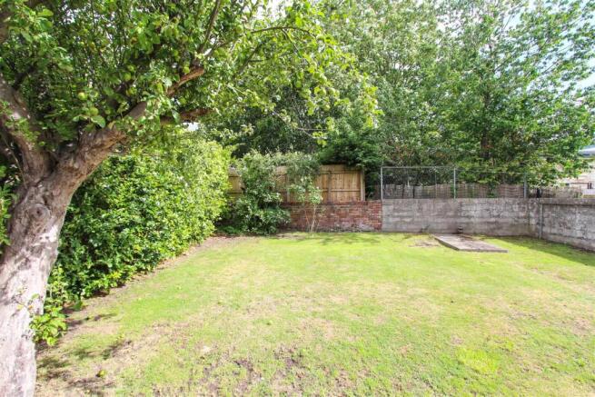 garden 1.jpg