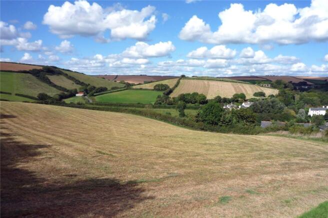 View From Garden