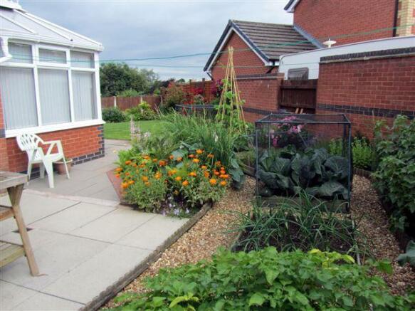 veg plot