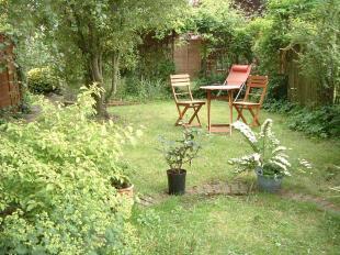 garden