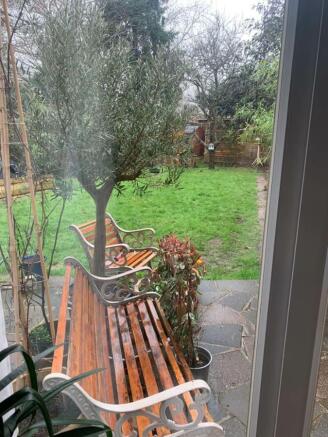 Back garden