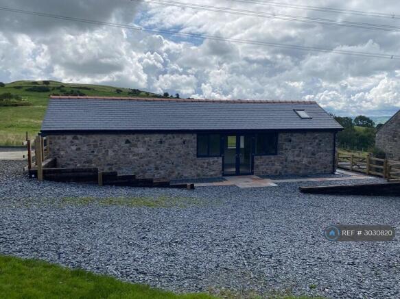 Bwythn y Llyffant