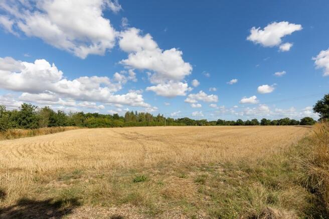 Nearby field view...