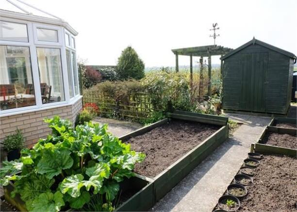Vegetable plots