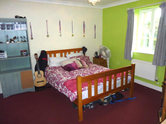 Picture 8
