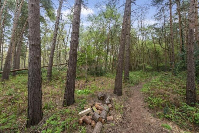 Woodlands