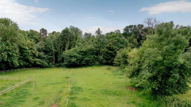 Field
