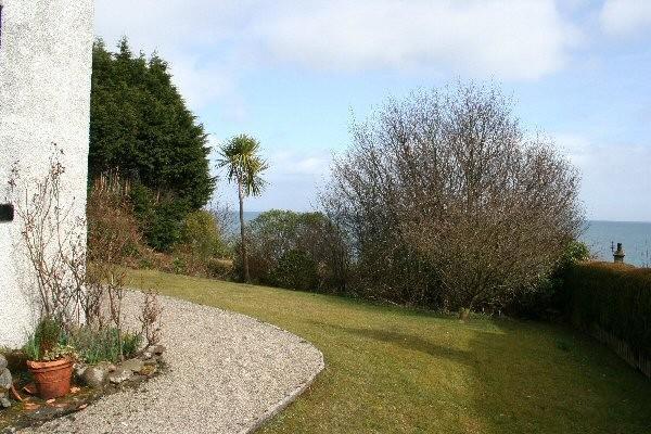 Side Garden