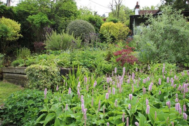 Garden detail