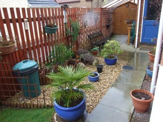 Side Garden