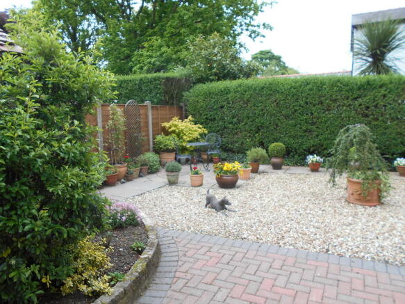 Photo 5
