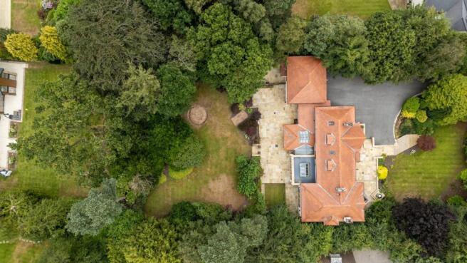 DJI_20260714121224_0013_D.jpg