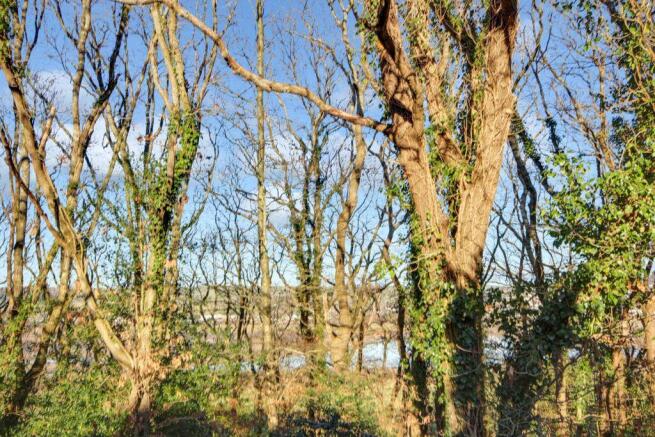 View from Property at Back