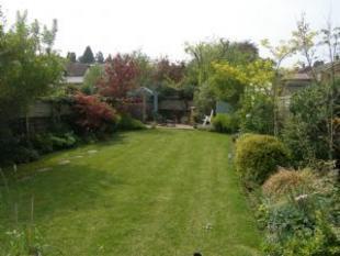 new garden
