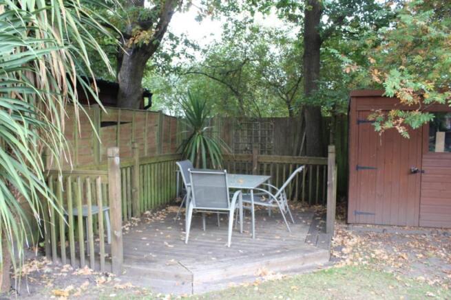 Picture 11