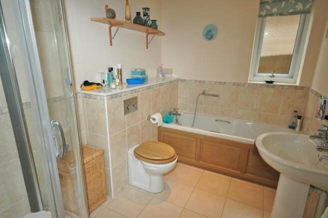 Photo 11