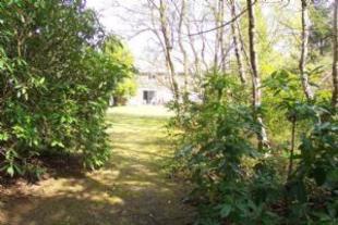 From the rear garden