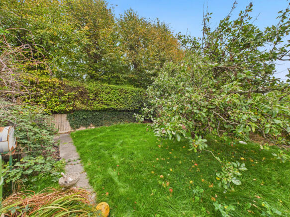 garden 2