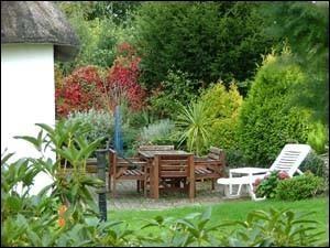 Sunny garden