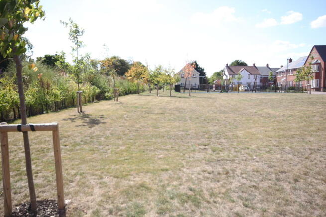 Communal Gardens