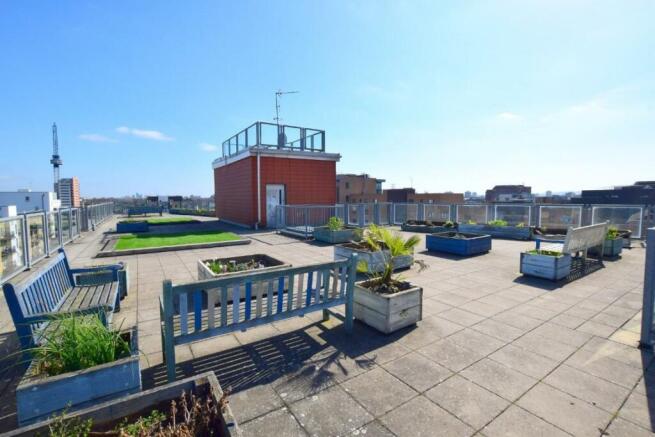 Communal Roof Terrace: