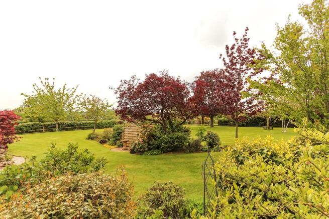 Garden at Back