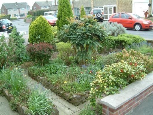 front garden
