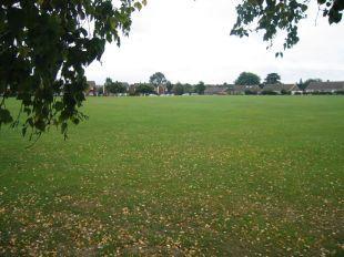 View Over Cricket Green
