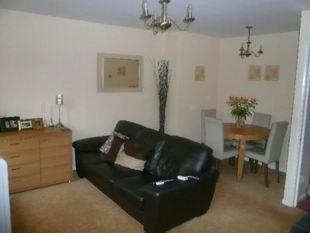 Lounge/Living Room