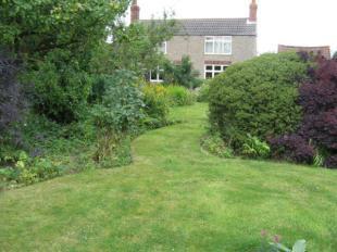 Garden 2