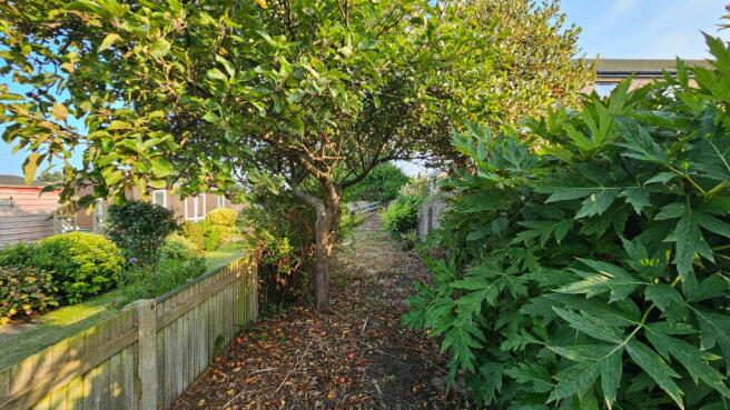 Photo 27