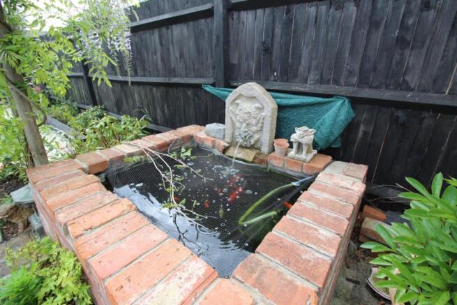 Picture 12