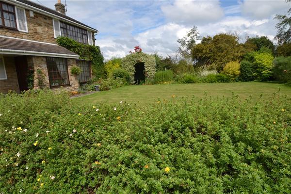 OUTSIDE/FRONT GARDEN