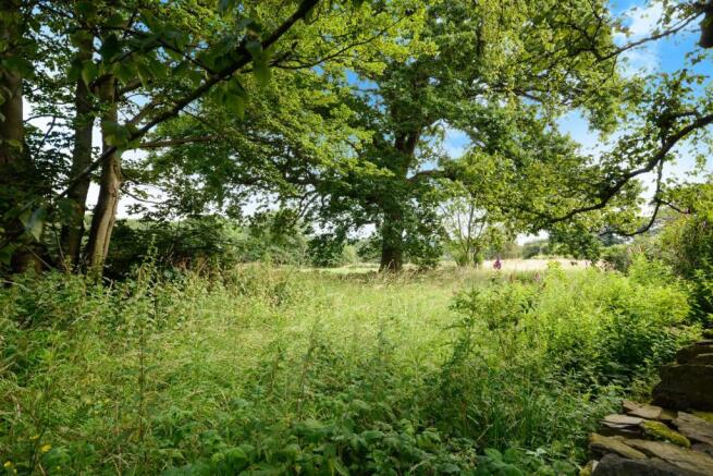 View from rear garden